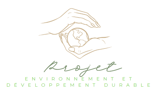 Projet environnement